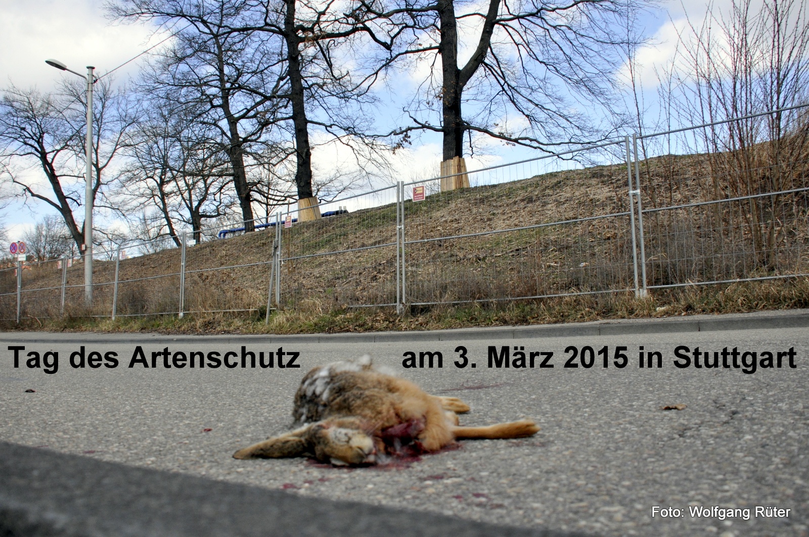Tag_des_Artenschuz_in_Stuttgart_03.03.2015_DSC2611